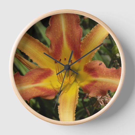 Lily Clock (Voorkant)