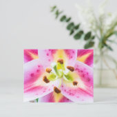 Lily Close-up Briefkaart (Staand voorkant)
