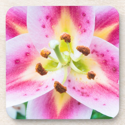 Lily Close-up Drankjes Onderzetter (Voorkant)