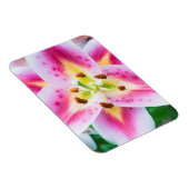 Lily Close-up Magneet (Rechterzijde)