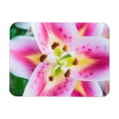 Lily Close-up Magneet (Horizontaal)