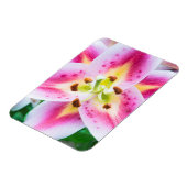 Lily Close-up Magneet (Linkerzijde)