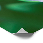 Lily Close-up Poster (Hoek)