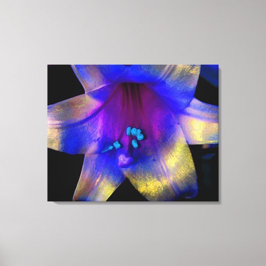 Lily Digitaal Verbeterde Kabeljauw Canvas Afdruk (Voorkant)