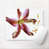 "Lily" door J. Maya Luz Muismat (Met muis)