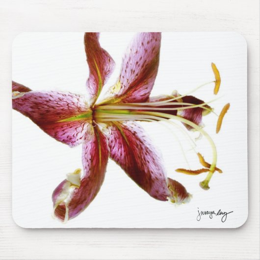 "Lily" door J. Maya Luz Muismat (Voorkant)