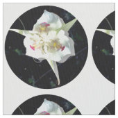 Lily Dot Stof (Close Up)