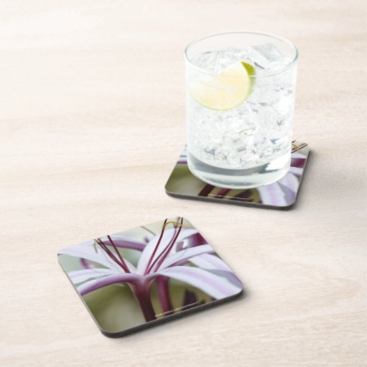 Lily Drankjes Onderzetter (Rechterzijde)