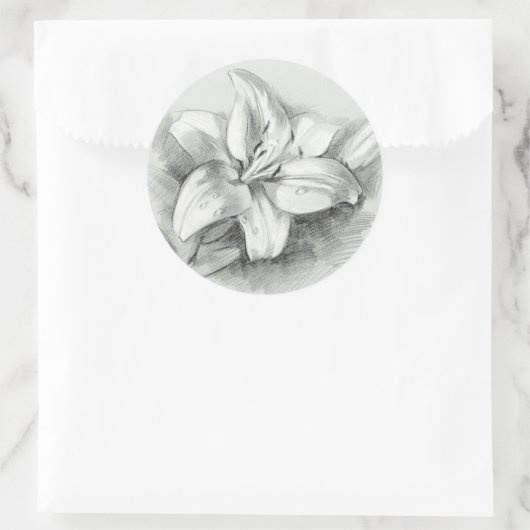 Lily Drawing Ronde Sticker (Tas)