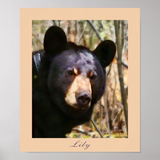 Lily, een Amerikaans zwart Beer Poster (Voorkant)