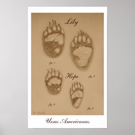 Lily en Hope Paw Print (Voorkant)