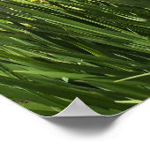 Lily en Iris Garden Poster (Hoek)