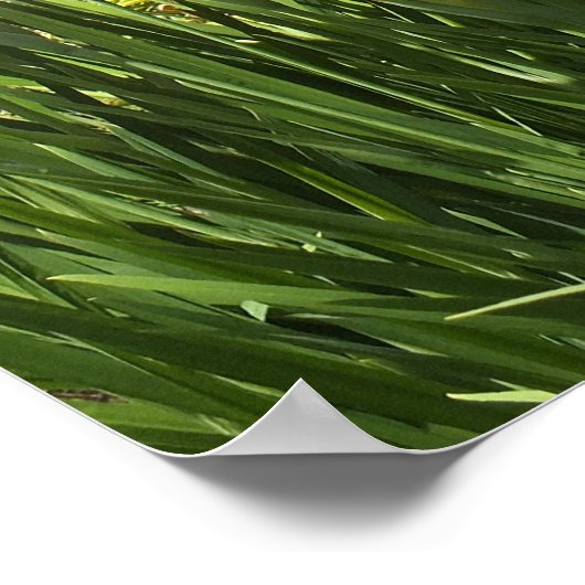 Lily en Iris Garden Poster (Hoek)