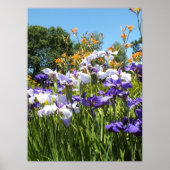 Lily en Iris Garden Poster (Voorkant)