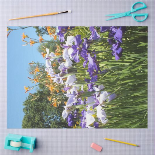 Lily en Iris Garden Poster Tissuepapier (Craft)