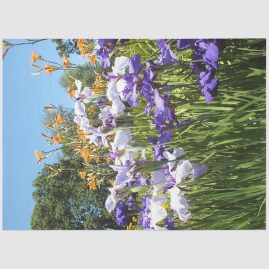 Lily en Iris Garden Poster Tissuepapier (Voorkant)