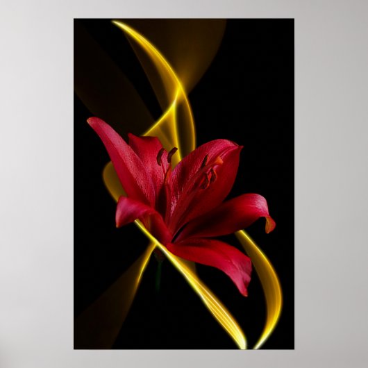 Lily en Ribbon Print (Voorkant)