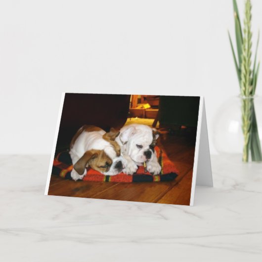 Lily en Ziggy Holiday Pose Feestdagen Kaart (Voorkant)