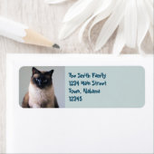 Lily Etiket (Insitu)