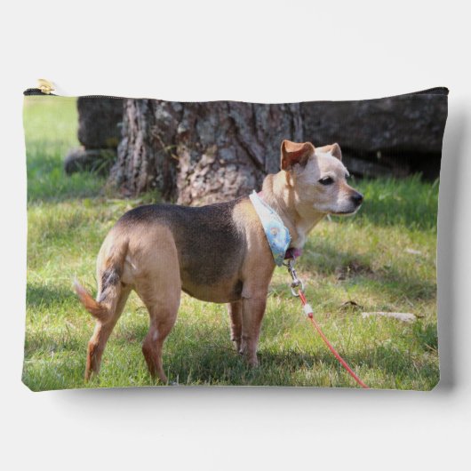 Lily Etui (Voorkant)