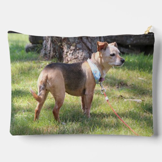 Lily Etui (Achterkant)