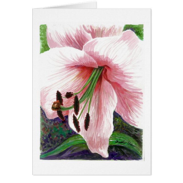 Lily flower (Voorkant)