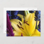 Lily Flower Arrangement Briefkaart (Voorkant / Achterkant)