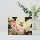Lily Flower Baby Briefkaart (Staand voorkant)