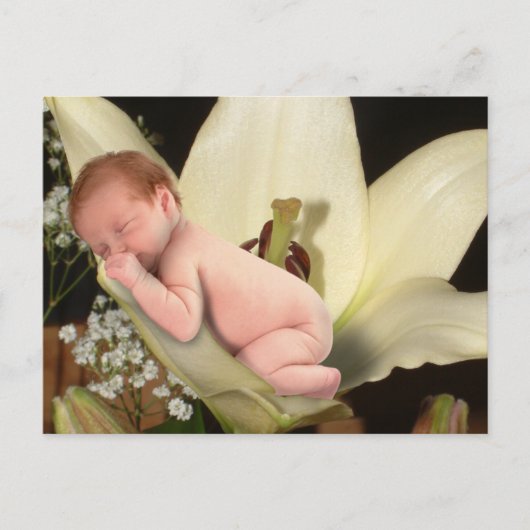 Lily Flower Baby Briefkaart (Voorkant)