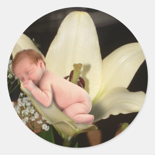 Lily Flower Baby ronde Sticker (Voorkant)