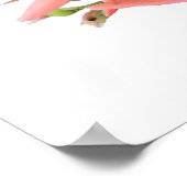 Lily Flower Botanical Art Poster (Hoek)