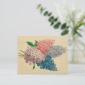 Lily Flower  Botanical Sketch Briefkaart (Staand voorkant)