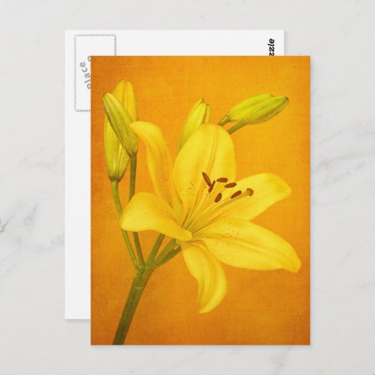 Lily Flower Briefkaart (Voorkant / Achterkant)