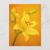 Lily Flower Briefkaart (Voorkant)