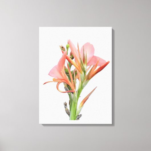 Lily Flower Canvas Afdruk (Voorkant)