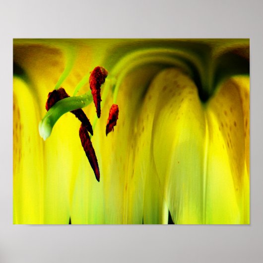 Lily Flower Fantasy Floral Abstract Poster (Voorkant)