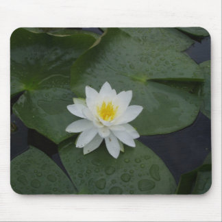 Lily Flower in Lily Pads Muismat