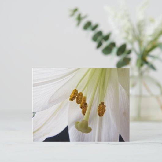 Lily Flower Macro briefkaart (Staand voorkant)