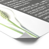 Lily Flowers, Funeral Home, Directors Poster (Hoek)