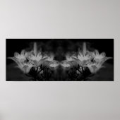 Lily Flowers in zwart-wit spiegel Abstract Poster (Voorkant)
