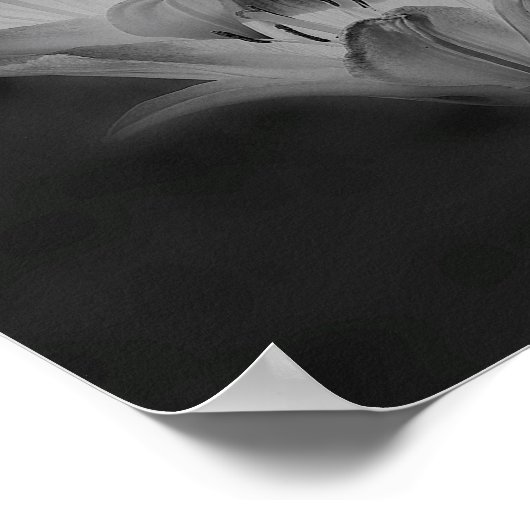 Lily Flowers in zwart-wit spiegel Abstract Poster (Hoek)