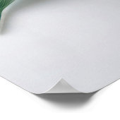 Lily Flowers Poster (Hoek)