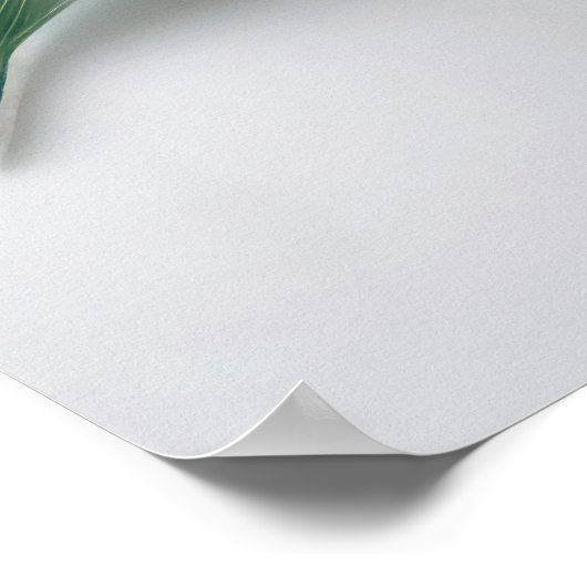 Lily Flowers Poster (Hoek)