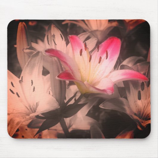Lily Flowers  zwart en wit Muismat (Voorkant)