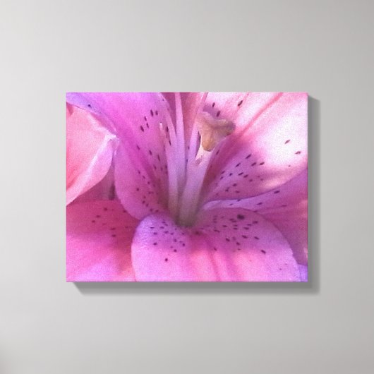 Lily Fotografie Canvas Print (Voorkant)