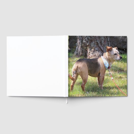 Lily Gastenboek (Volledig)