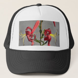 Lily, gekleurd door Kazumasa Ogawa Trucker Pet