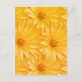 Lily gele klas briefkaart (Voorkant)