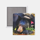 Lily het zwarte Beer met linten magneet (Voorkant / Achterkant)