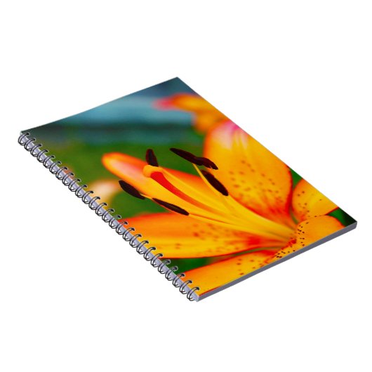 Lily II Notitieboek (Rechterzijde)